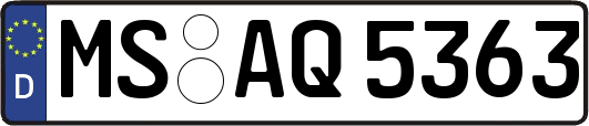MS-AQ5363