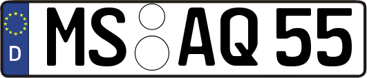 MS-AQ55