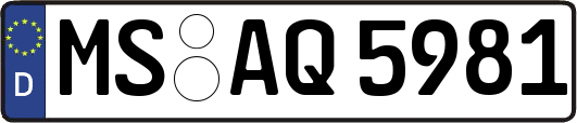 MS-AQ5981