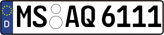 MS-AQ6111