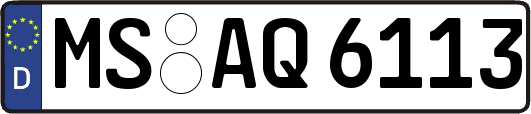 MS-AQ6113