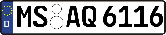 MS-AQ6116