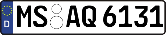 MS-AQ6131