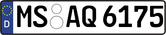 MS-AQ6175