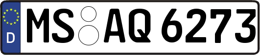 MS-AQ6273
