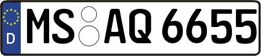 MS-AQ6655
