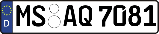 MS-AQ7081