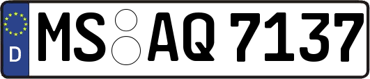 MS-AQ7137