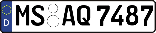 MS-AQ7487