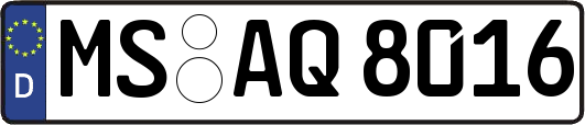 MS-AQ8016