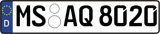 MS-AQ8020