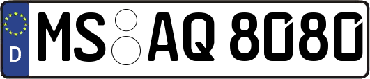 MS-AQ8080