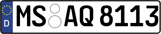 MS-AQ8113