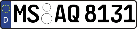 MS-AQ8131