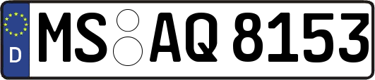 MS-AQ8153