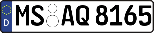 MS-AQ8165