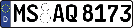 MS-AQ8173