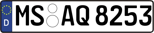 MS-AQ8253