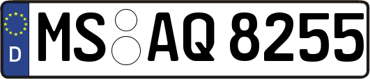 MS-AQ8255