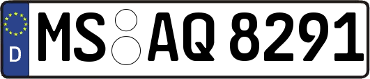 MS-AQ8291