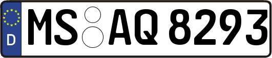 MS-AQ8293