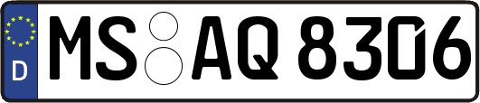 MS-AQ8306
