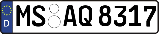 MS-AQ8317