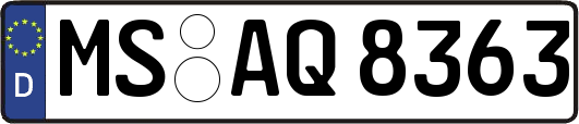 MS-AQ8363
