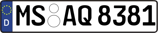 MS-AQ8381