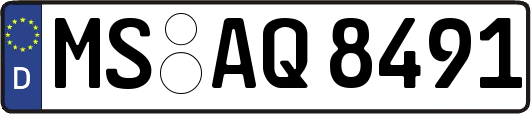 MS-AQ8491