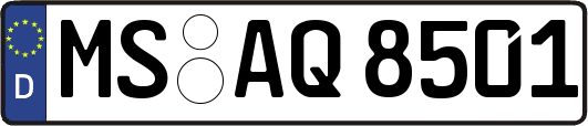 MS-AQ8501