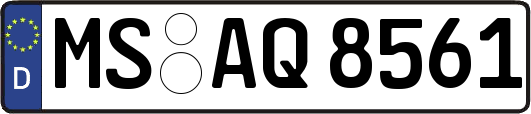 MS-AQ8561