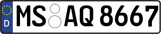 MS-AQ8667