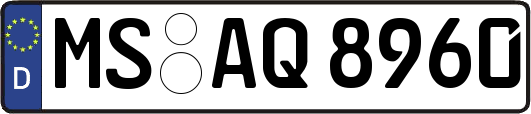 MS-AQ8960