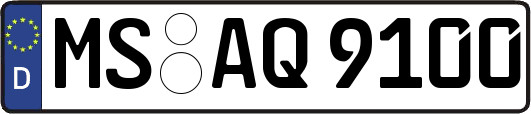 MS-AQ9100