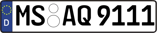 MS-AQ9111