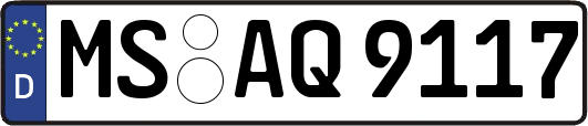 MS-AQ9117
