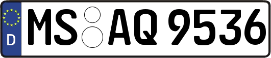 MS-AQ9536