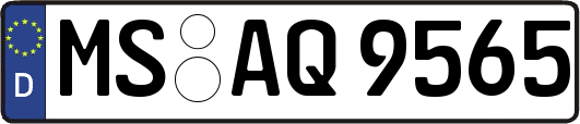 MS-AQ9565