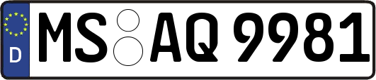 MS-AQ9981