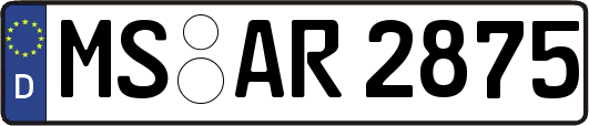 MS-AR2875