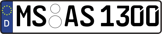 MS-AS1300