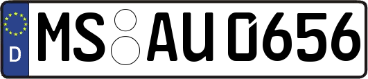 MS-AU0656