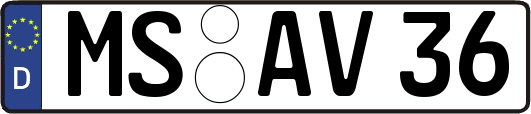 MS-AV36