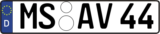 MS-AV44