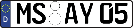 MS-AY05