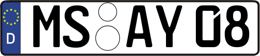 MS-AY08