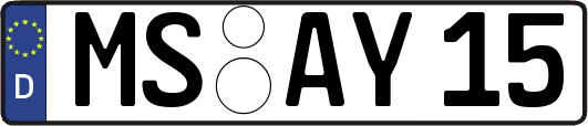 MS-AY15