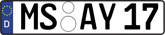MS-AY17