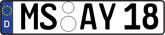 MS-AY18